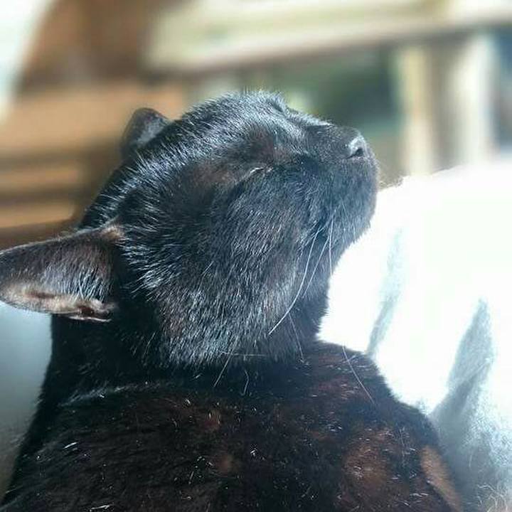 168dab31 a25b 4827 b424 52e1a6f92d11 1518148672196