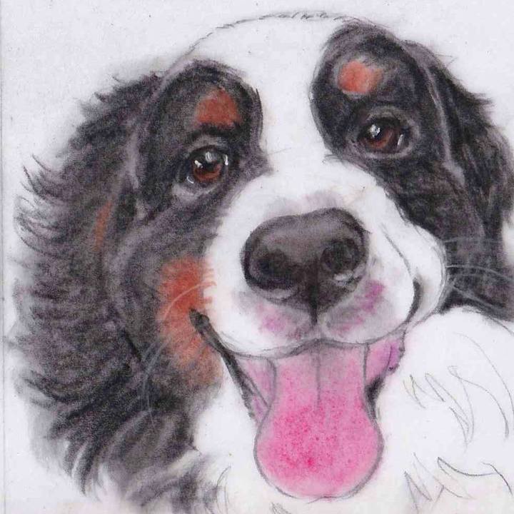 168dbcd3 df4e 4af0 bd1e 1e0df5a4f498 1647438605583