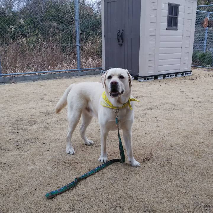 168dfec1 1564 43bc ae01 c36701c2944b 1519557042467