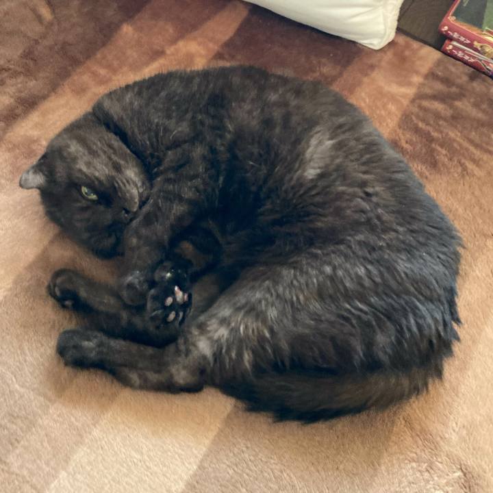 168e072e 9b8e 43dd 8376 a147103d3151 1632710782937