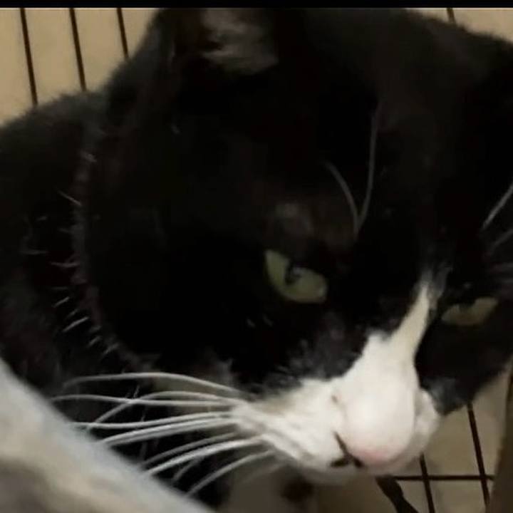 168e3534 e602 4b28 9b9c b6706341edee 1737192553987