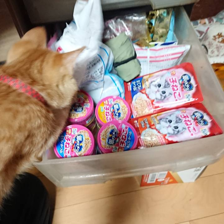 168e4606 f73a 46fe 8162 58632786f6dc 1633168019775