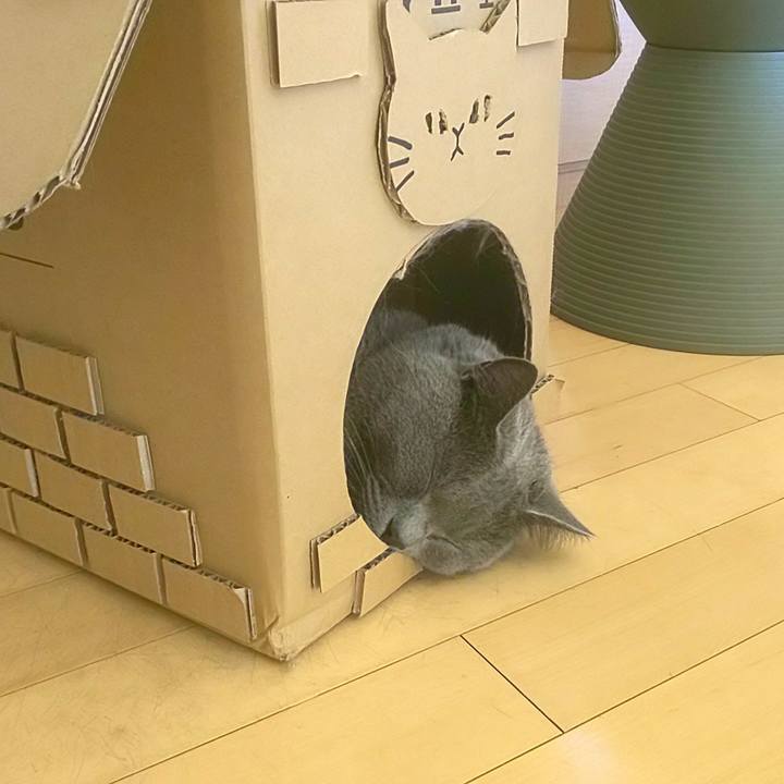 168e4d23 5b8b 4348 b092 cd34b6e56069 1597119513651