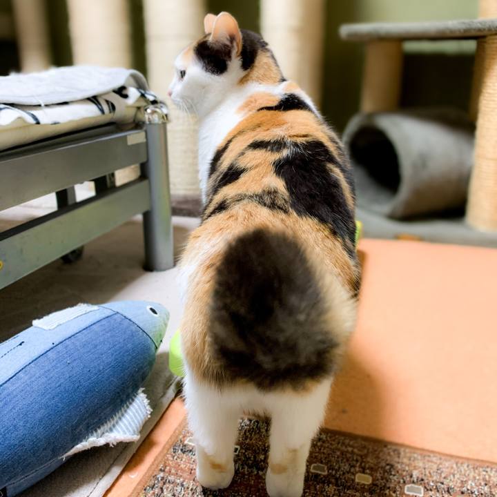 168e623a 3d1b 4d0c ae40 8650a8049760 1586743067907