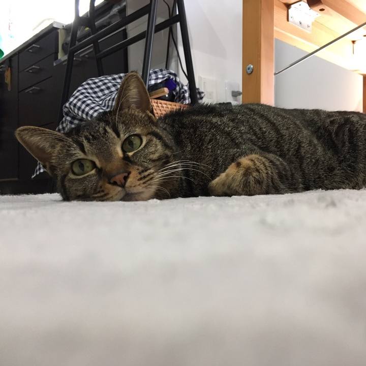 168e6d3c 9558 49c2 a571 7fe08bd2988f 1583999987664