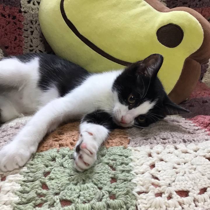 168e9862 da50 42db b638 bae27e3763e0 1626240229114