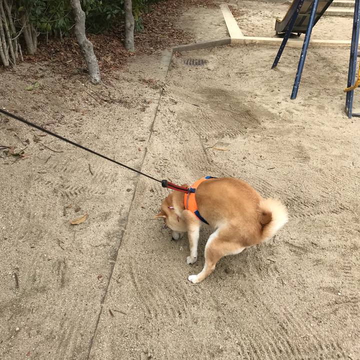 168eb786 e01a 4c8e 9a61 2a57b9f2804b 1520213049255