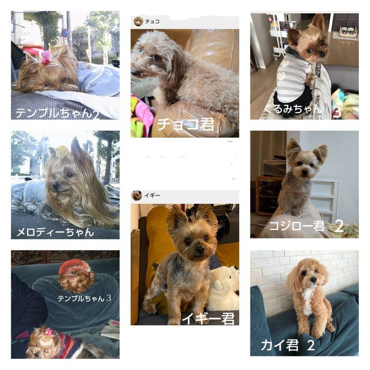 168ecde1 d7a0 442d 9f10 8e5c4eaba22f 1644061439129