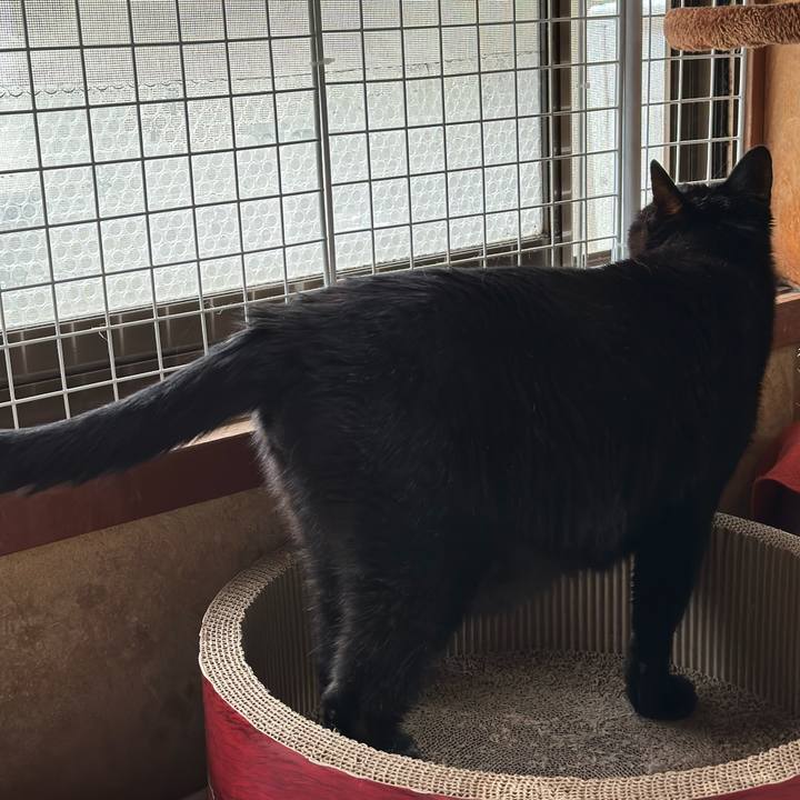 168f04b6 0e75 41ce a8e4 2fa8b6291d6b 1685928198355