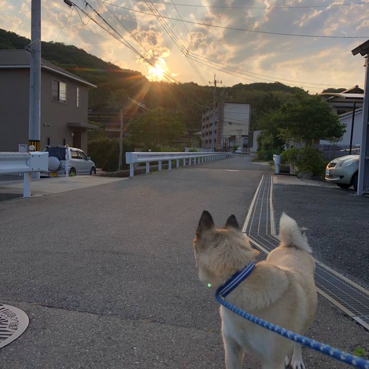 168f4161 25b9 485a a127 4287635960be 1590668973647