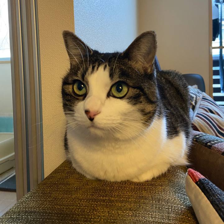 168f7d49 6f7d 46ab b05e 6a5d162953cd 1605597517515