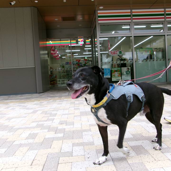 168f96c4 f5ea 4b28 94d1 49d512605a63 1754007526582