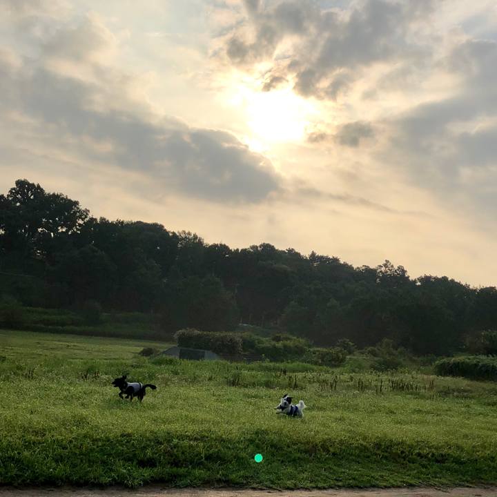 168fbdcb 0737 4385 a72f 1fb19cde652a 1564355451933