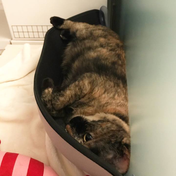 168fdd4e 8b49 40a5 ac8b 28161db94090 1510587447483