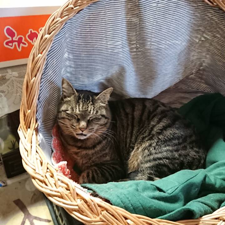 168fe2e8 d1e1 4dbd b9d7 c10767f8b4e8 1643157145254