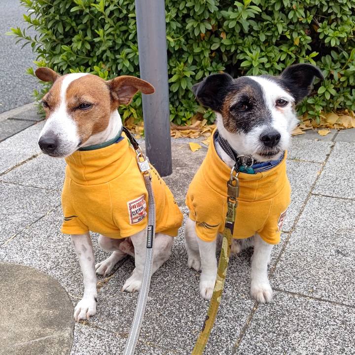 16900842 044b 42b2 895d 4e9184ffb018 1703378712741