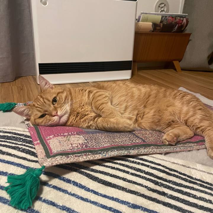 16900c58 14e4 4fa7 abc3 6689050e8811 1765417524841