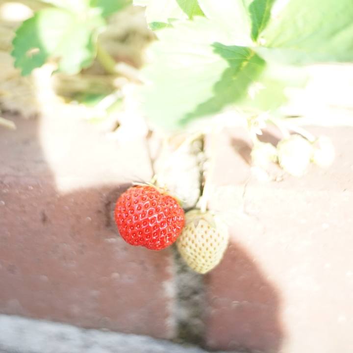 169016fa 3289 4d03 b4d8 30d5e2586ffe 1524699738270