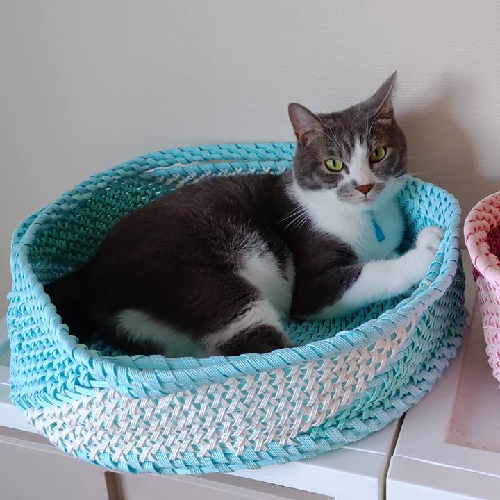 16902f80 8415 4a8b bf9c 689ef022d50e 1659153187314