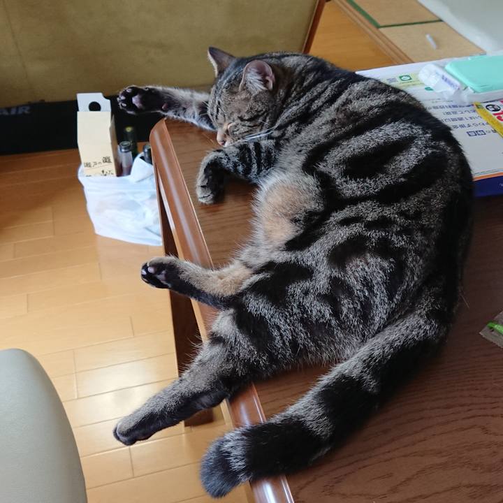 16904332 290a 42d8 a5d5 645172049d43 1591409944624