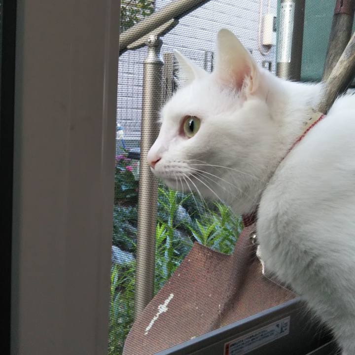 1690481e 6a45 4f15 b145 71195d11005c 1627163049954