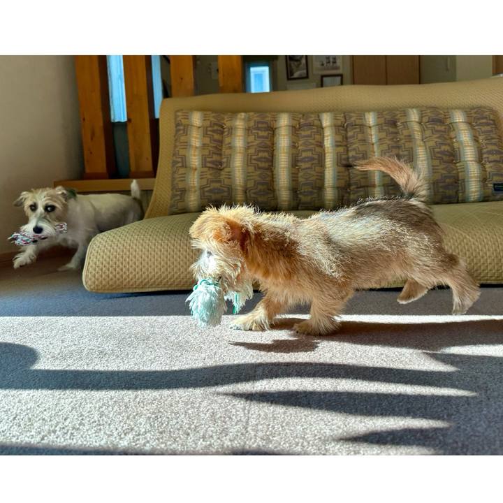 16905374 5513 4553 9848 517a32773162 1701637484282