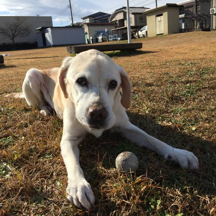 169089b8 07a8 40c8 8e91 56ac5e024b80 1545188459433