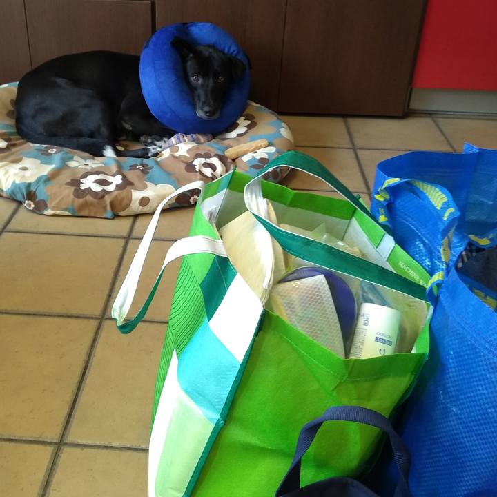 1690ed27 b3ae 4e0f bb99 040e6a3f3b8b 1624159000697