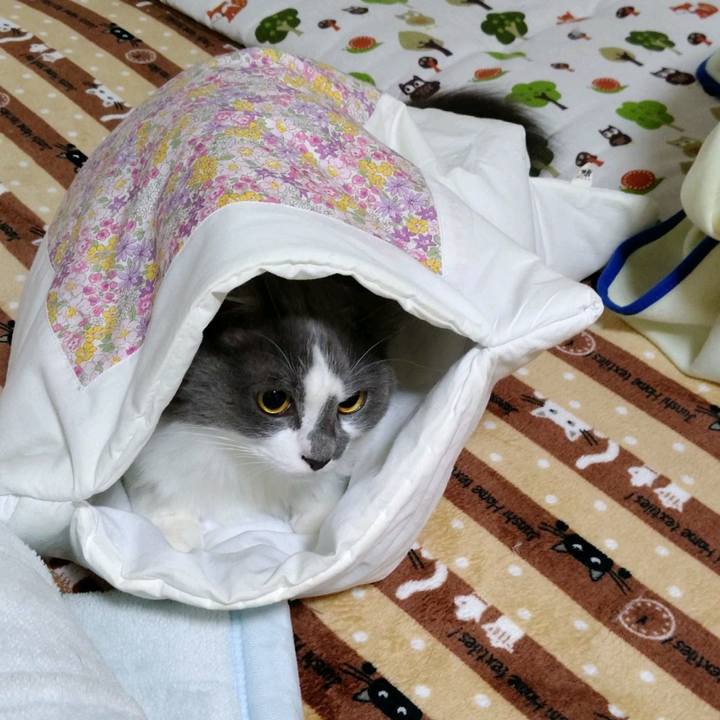 169105d6 8b8e 4a6e ac84 dc54bd82a9e9 1608025977532