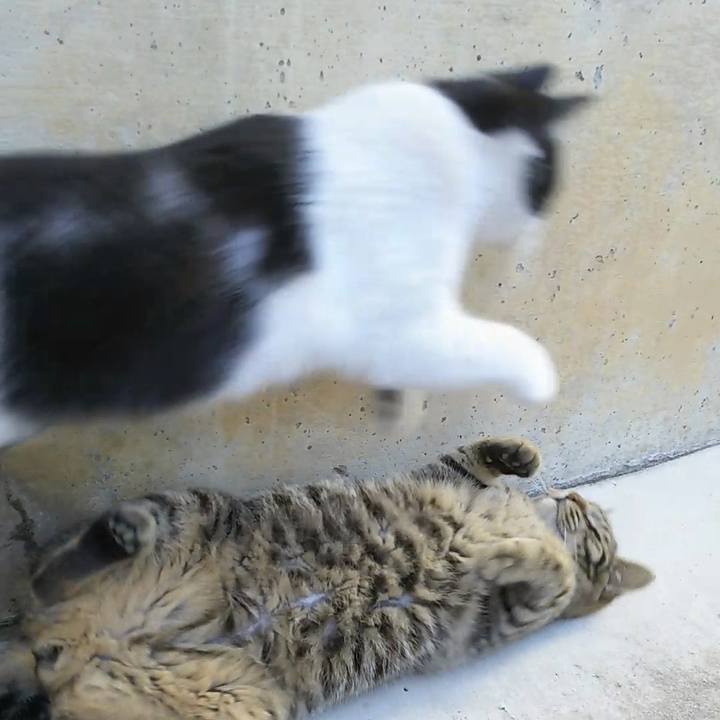 1691503b d578 49b8 9d6a 66c894fe7041 1554856815011