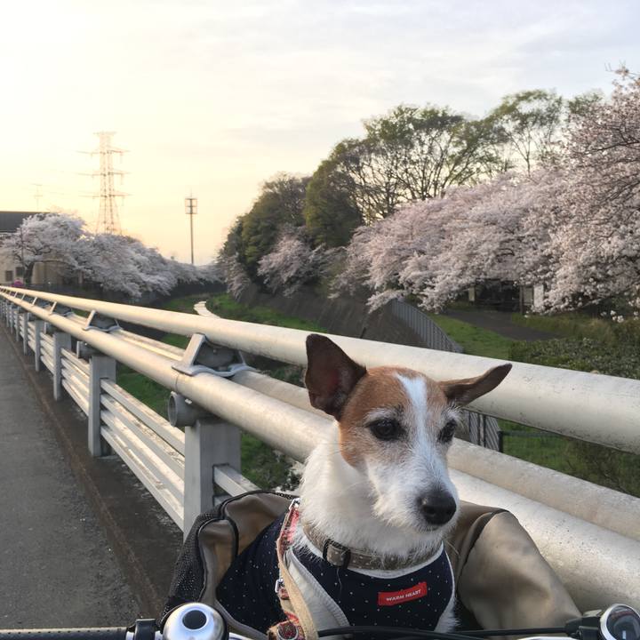 16916e64 c2a4 4ac7 be93 0951c9728bbb 1617233651638