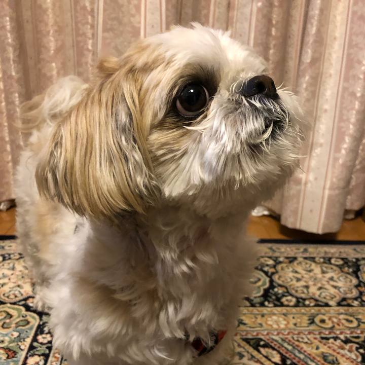 16918fd6 ab27 4e5f 8b48 6505e12277e9 1556228405937