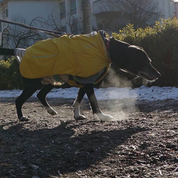 169198ce b6e3 4118 997f 0cc23fdfebbc 1770686713826