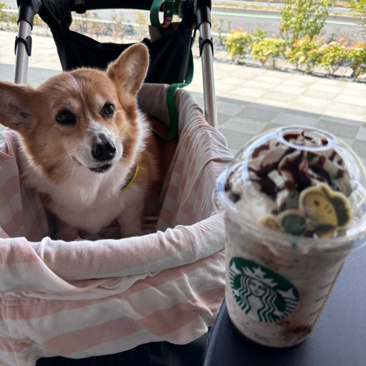 16919ac3 1ac9 4798 9726 8c9ea3efc551 1744426189325