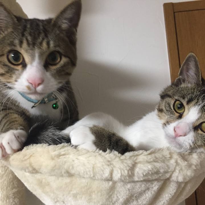 1691a9e4 5e60 4bad 9fde 0c99f6213285 1660956003963