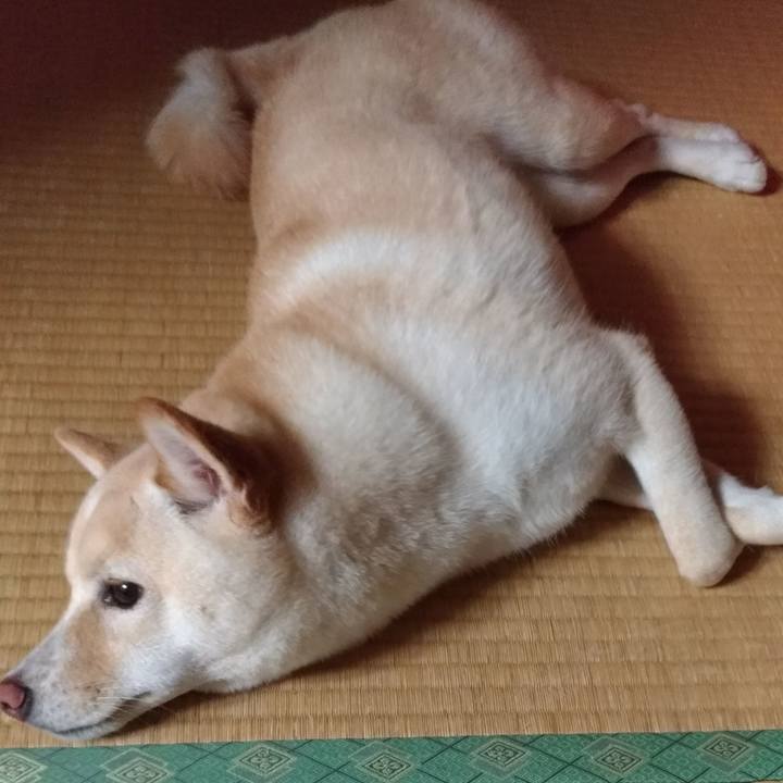 1691bf2b 7de4 4b7a 8801 27e3d3c33290 1533814663387