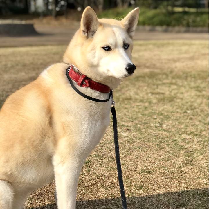 1692477b c65e 461b 9925 76146fb96721 1519691106363