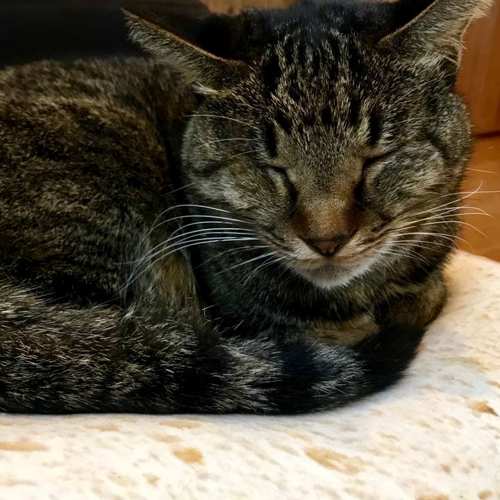 169257b9 36b9 4ce1 92e7 70c1439b3221 1542956345895