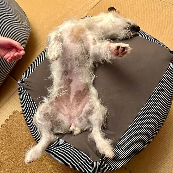 16925e63 6a0e 45de 9f20 286994186b98 1712413413823