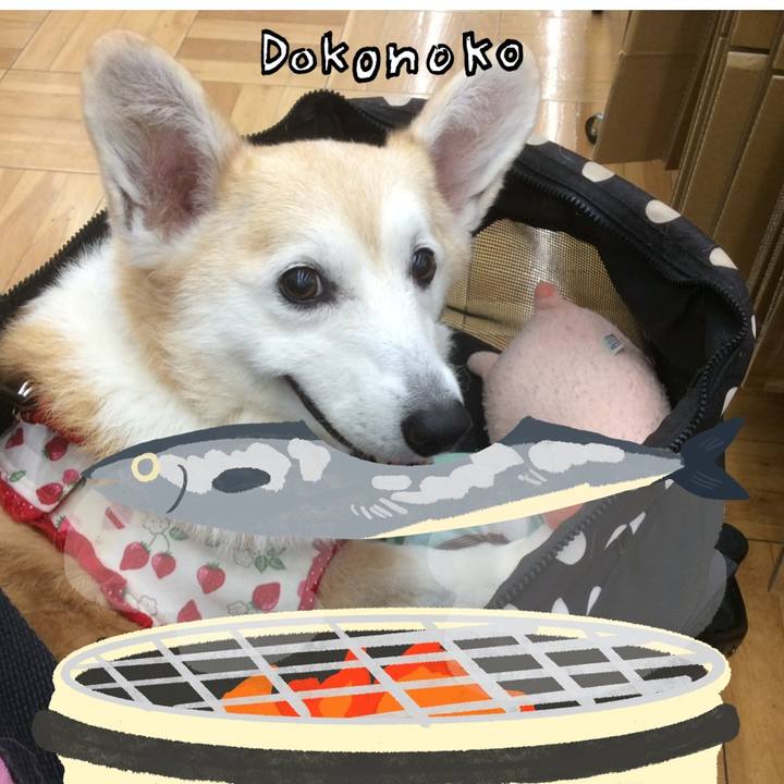 1692702d aca3 485c 97af e083b8a365f3 1761105803763