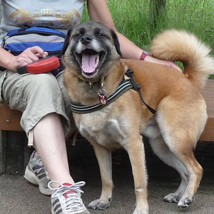 16928465 ac13 490e ac8d 572420952b07 1577321288340