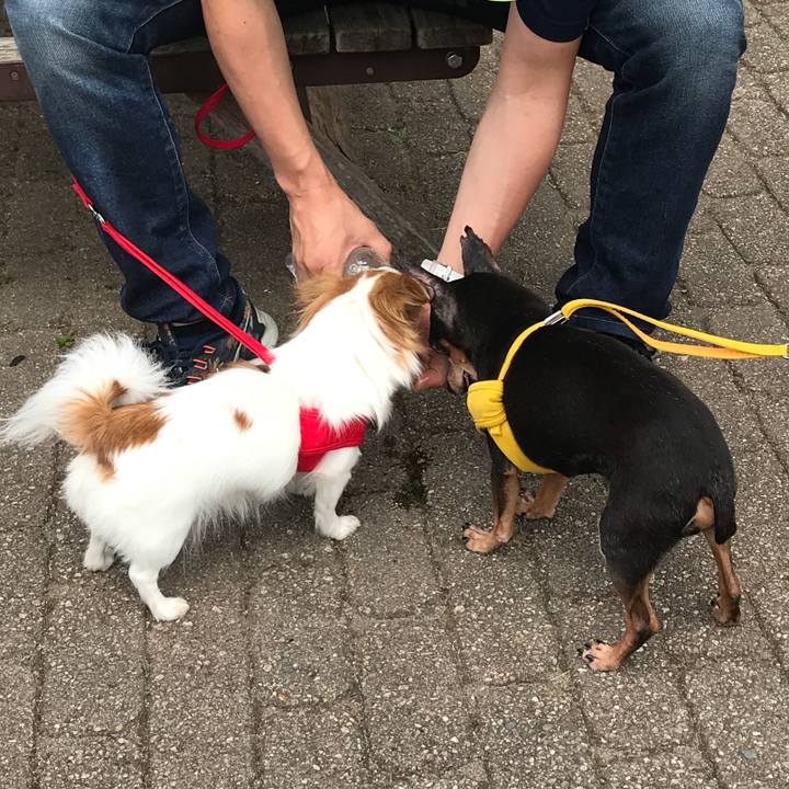 1692856e 37f2 4df4 a86e 678c69c7c588 1540725832740