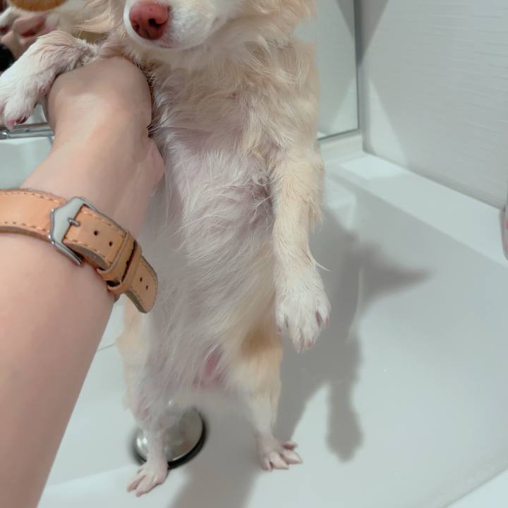 1692de7d eba4 48e2 b7df 25ee90e0b424 1700646794300