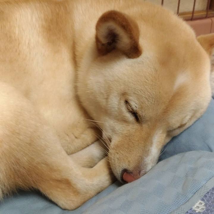 169303b1 c066 443a a5c6 c66b2a506e94 1522844237571