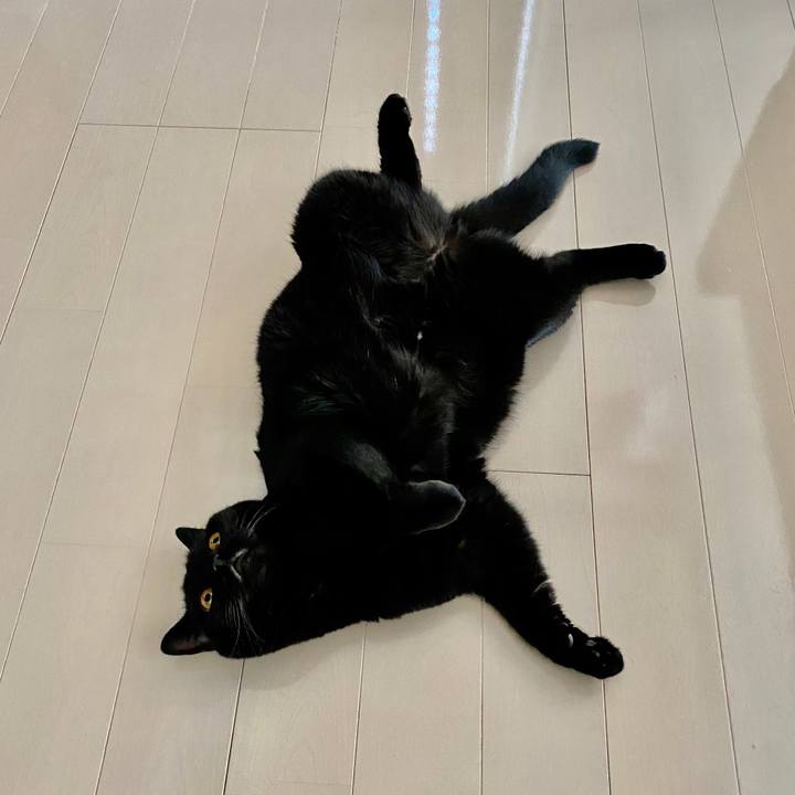 16930a74 a73a 459e 83df 354ed74bbb25 1598405988164