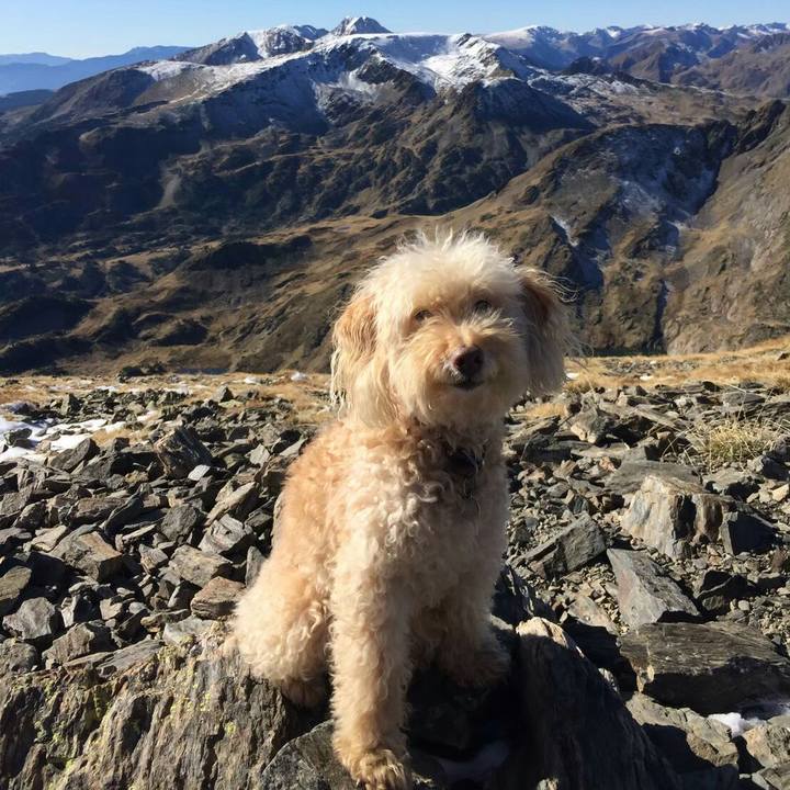 1693376f 954a 43be 90d5 f7115f200368 1575378139698