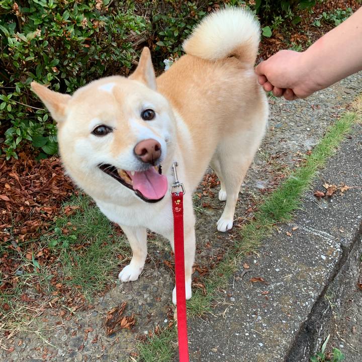 16937e65 a5a8 4446 ba6f 60dcbd4dac20 1657536419268