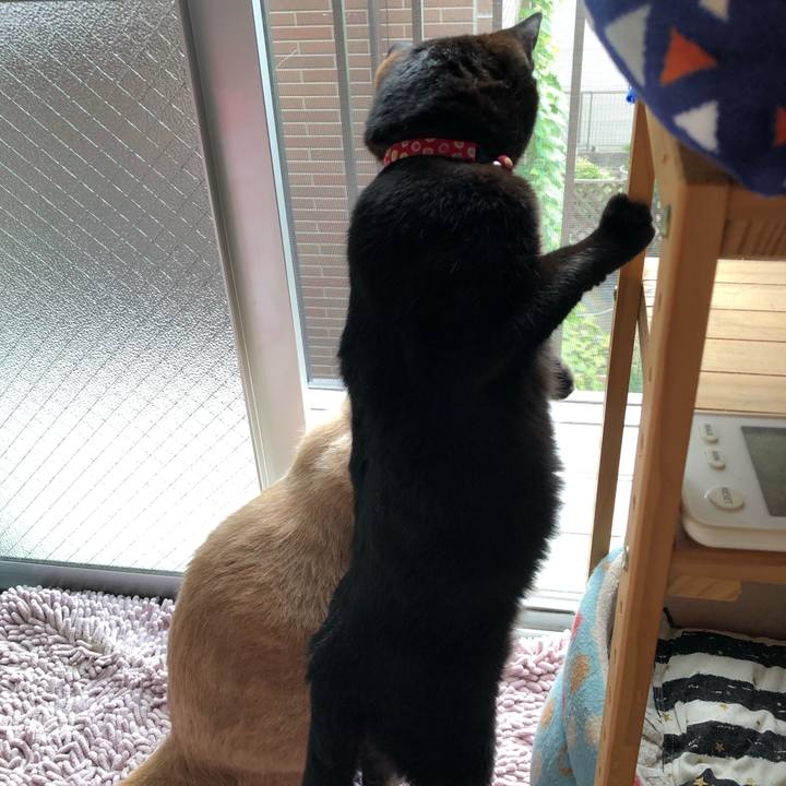 1693c60d d959 49b2 821a 66398de47d1a 1626995626311