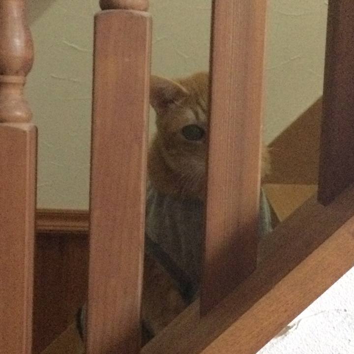 1693c6eb e40d 4bdc 8542 5e4c2db0d79c 1642855057994