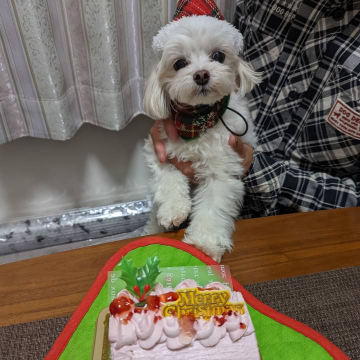 1693e899 cbca 4976 a257 a650448285aa 1640429667016